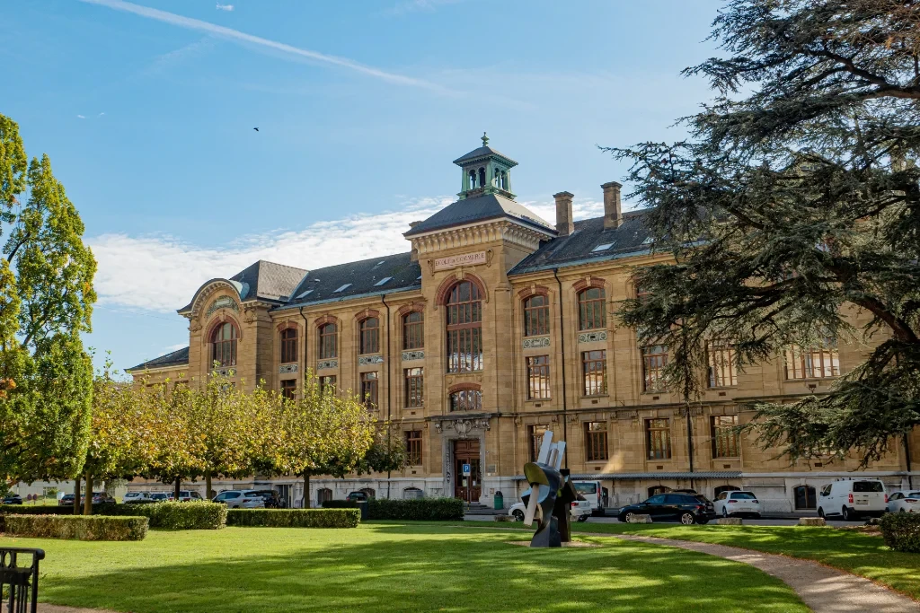 Mauris consequat tristique tempor